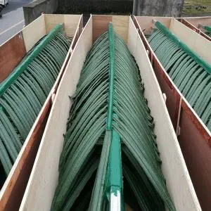 Fronds Palm le haghaidh Cill Túr faoi Bhrú