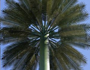 Túr Cille Palm Bionic Ardchaighdeáin